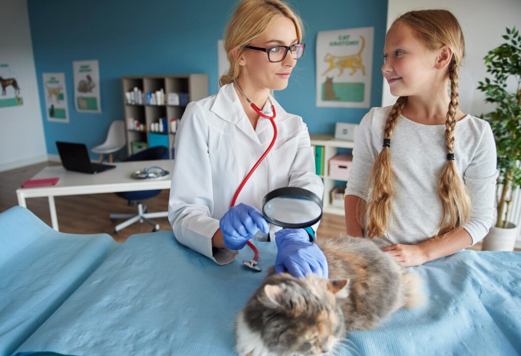 cat examination with a magnifying glassC8WP22Q