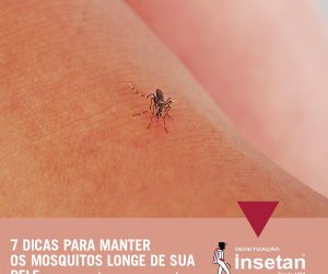 7 dicas para manter mosquitos longe